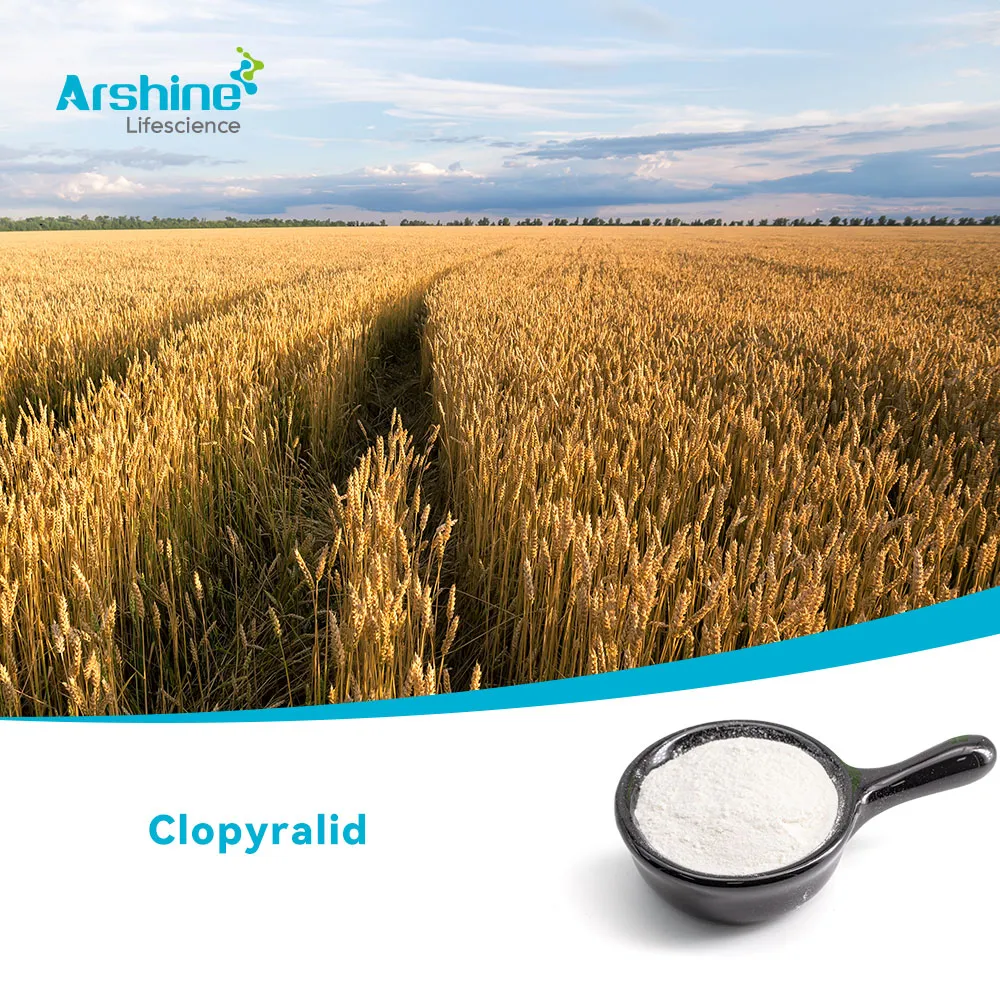 Clopyralid