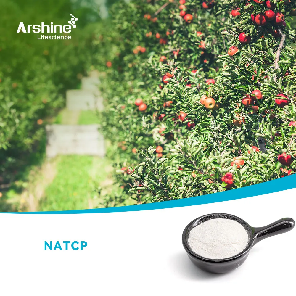 3,5,6-TRICHLOROPYRIDIN- 2-OL-SODIUM