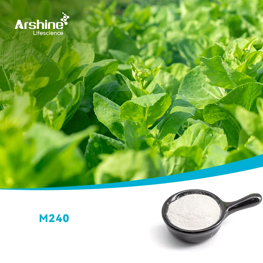 METHYL (E)-3-METHOXY-2-(2-CHLOROMETHYLPHENYL)-2-PROPENOATE；METHYL-2-(2-CHLOROMETHY|PHENYL)-3-METHOXYACRYLATE