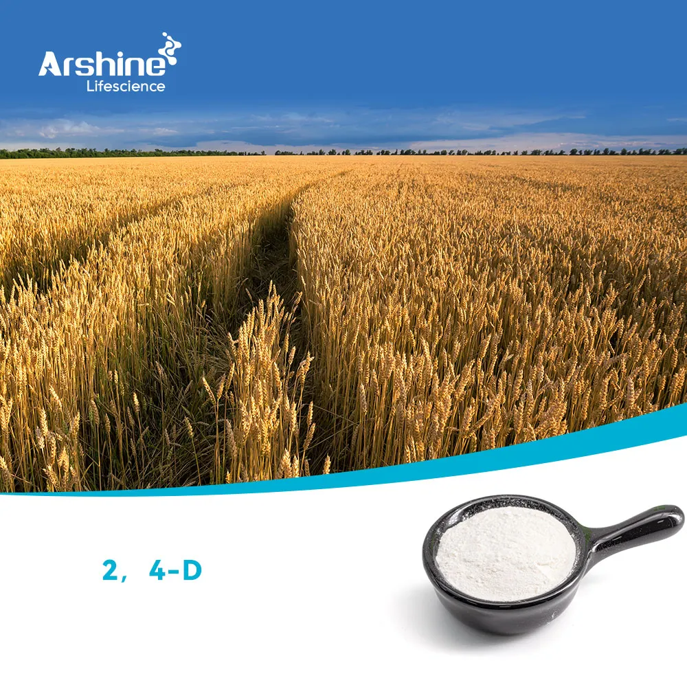 2,4-Dichlorophenoxyacetic acid