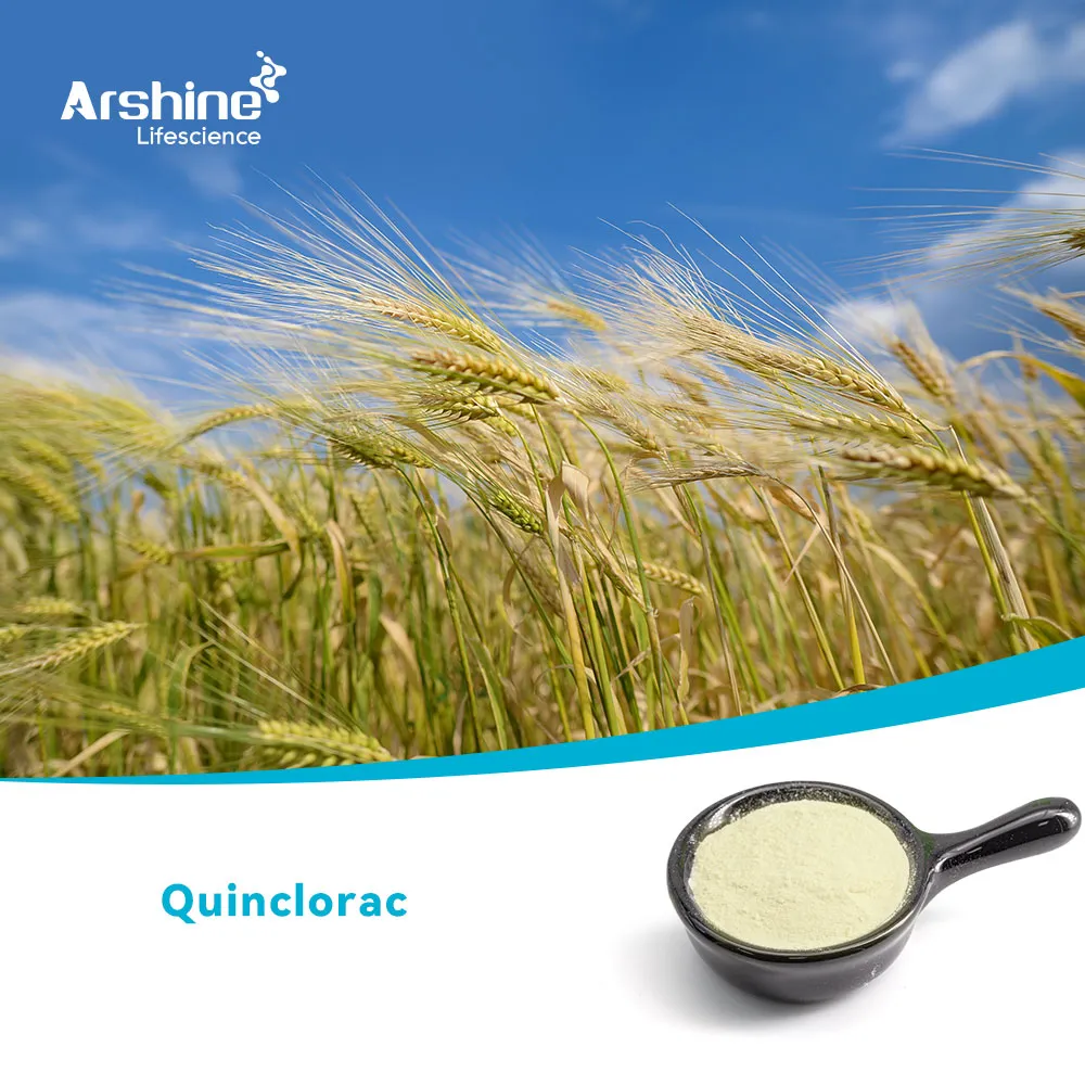 Quinclorac