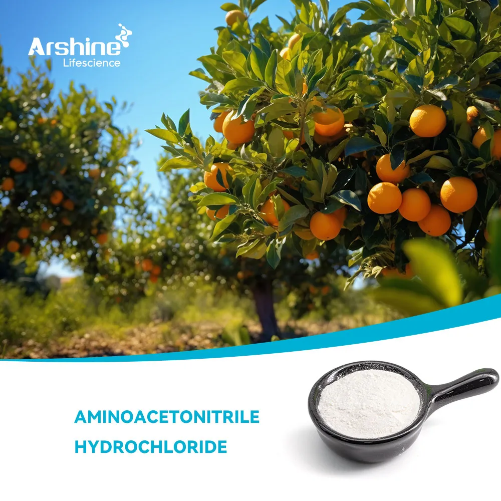 AMINOACETONITRILE HYDROCHLORIDE