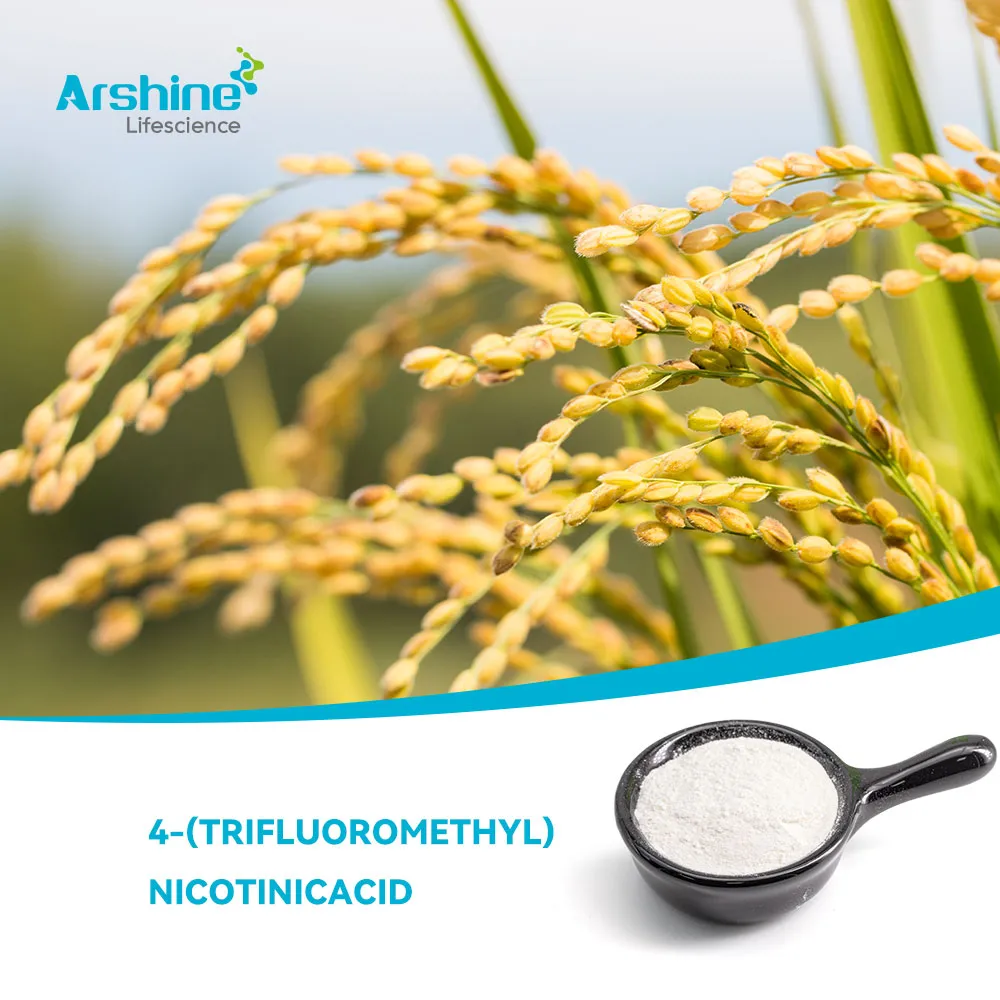 4-(TRIFLUOROMETHYL)NICOTINICACID